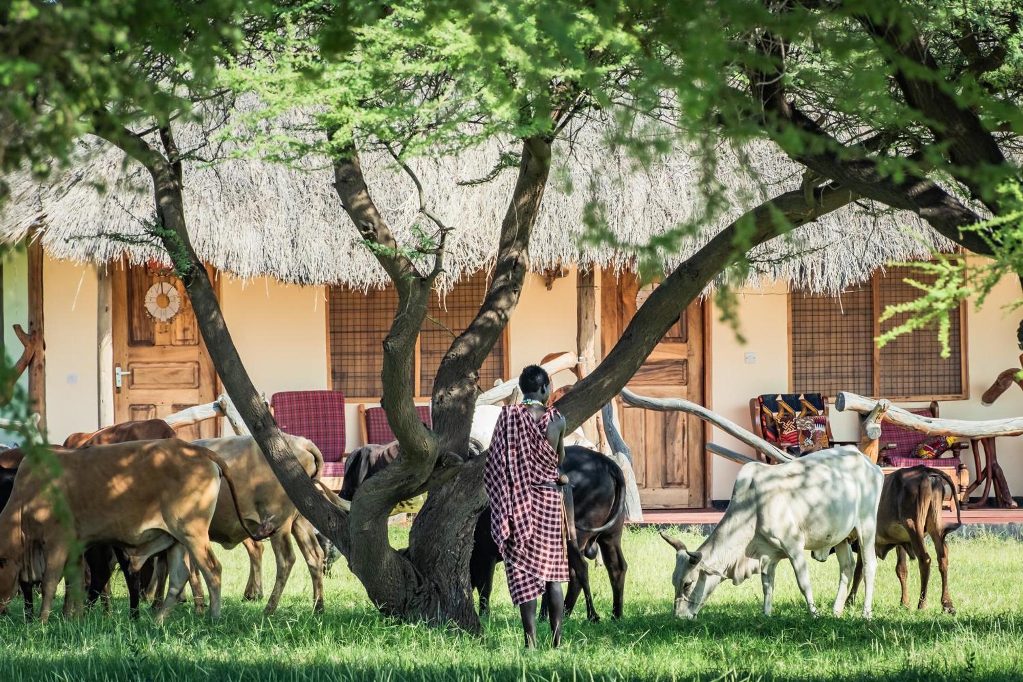 Lake Natron Maasai Giraffe Eco Lodge And Camping Mtowabaga Екстер'єр фото