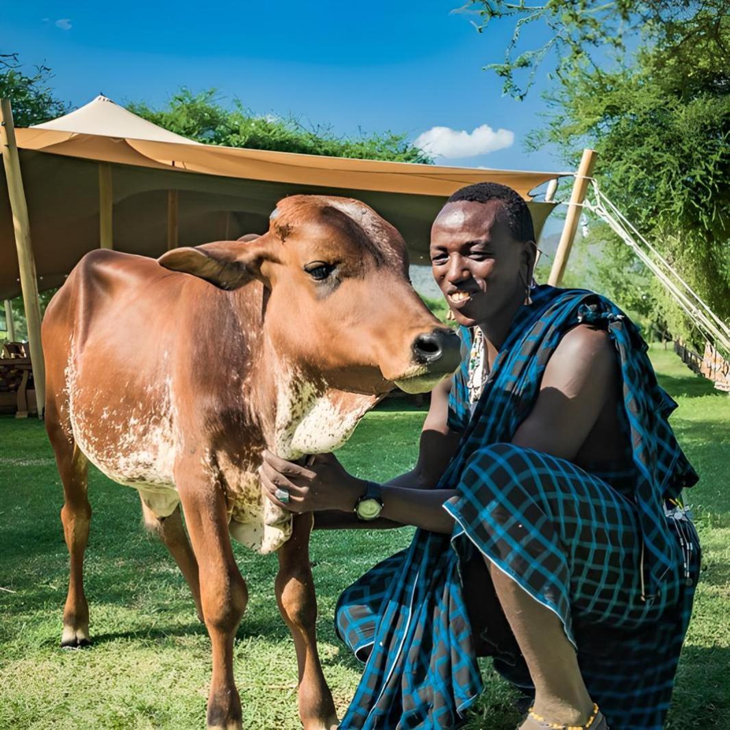 Lake Natron Maasai Giraffe Eco Lodge And Camping Mtowabaga Екстер'єр фото
